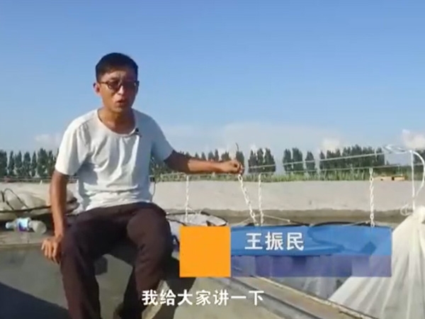 养殖治理-吊笼先容