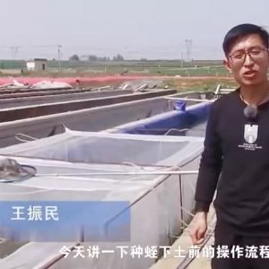 种蛭下载前操作