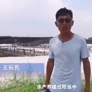 菌种先容-乳酸菌先容